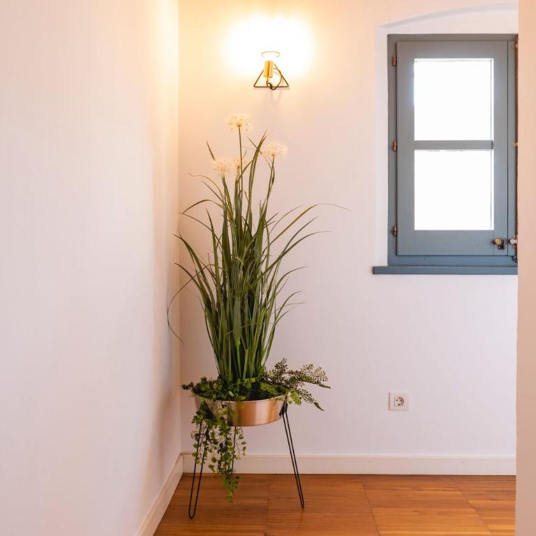 Bravissimo Raïms Penthouse - Apartamento de 2 dormitorios - 7