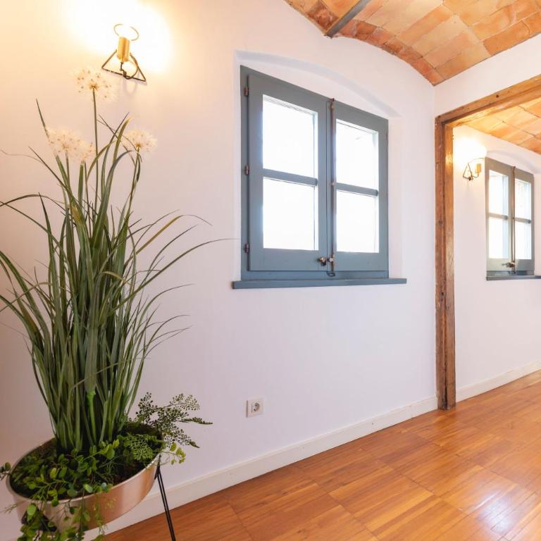 Bravissimo Raïms Penthouse - Apartamento de 2 dormitorios - 20