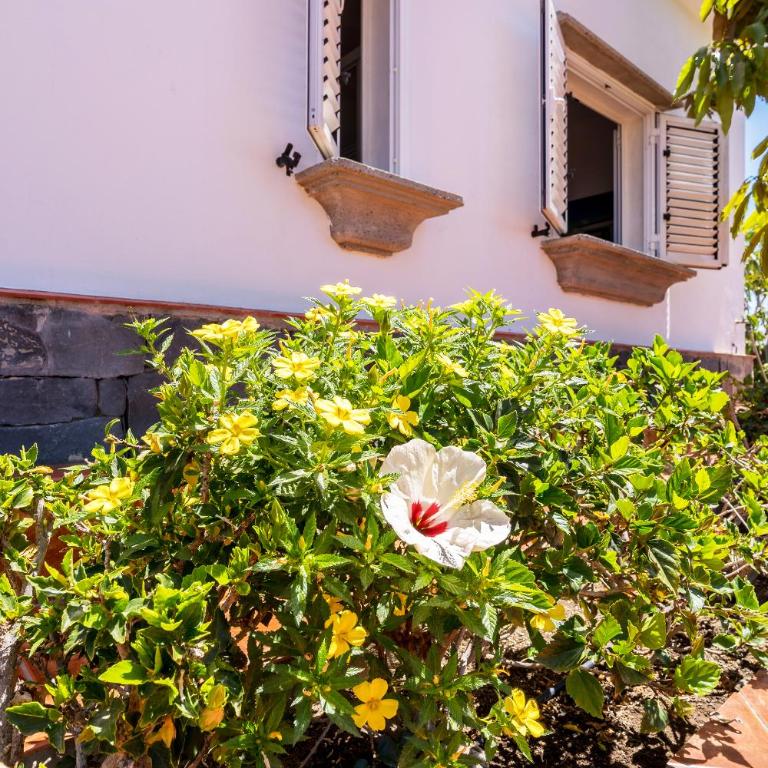 Golf Paradise with private garden and barbecue in Maspalomas - Two-Bedroom Chalet - 26