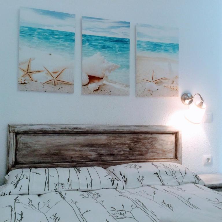 Sol Apartment - One-Bedroom Apartment - 17