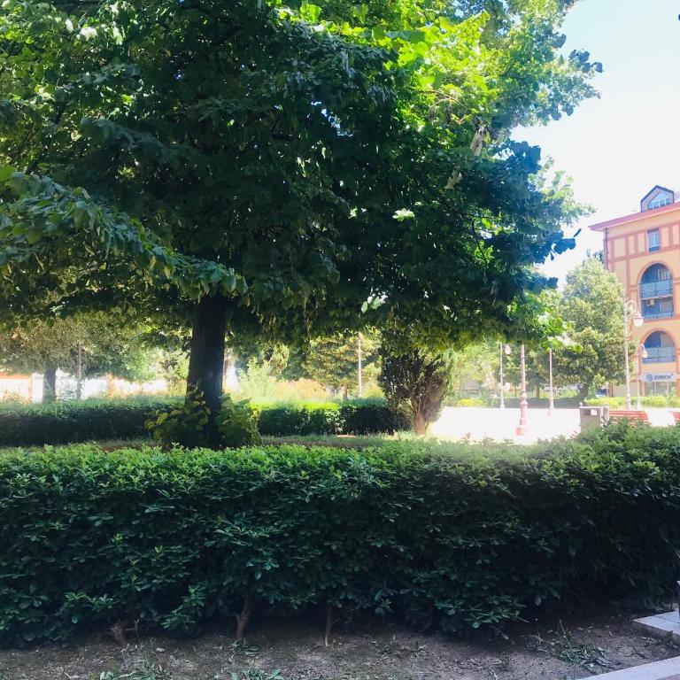 Charming Rimini - Appartamento con 1 Camera da Letto - 44