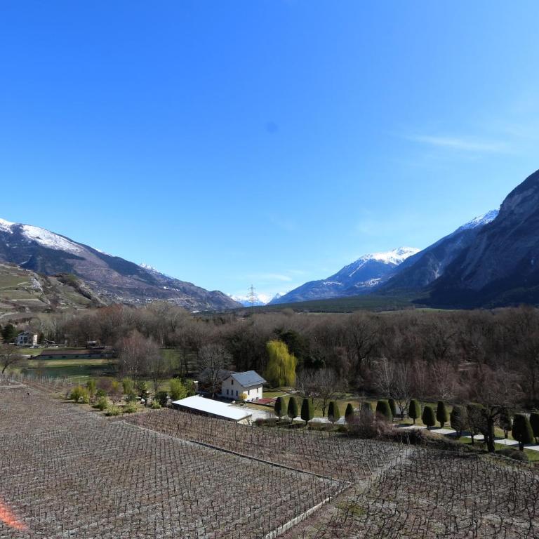 BnB Vino Veritas - Penthouse-Apartment - 10