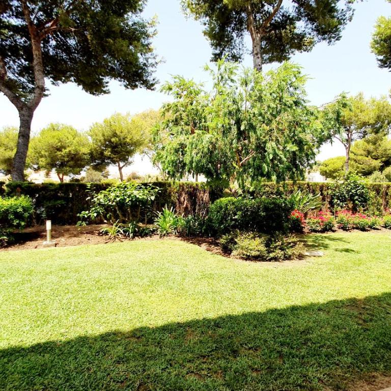La Petunia - Apartamento Estudio - 52