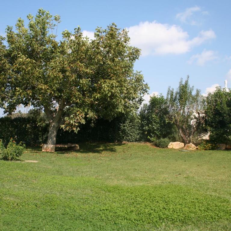 Terra Sessana Ville e Trullo con piscina privata - Casa con 2 Camere da Letto - 2
