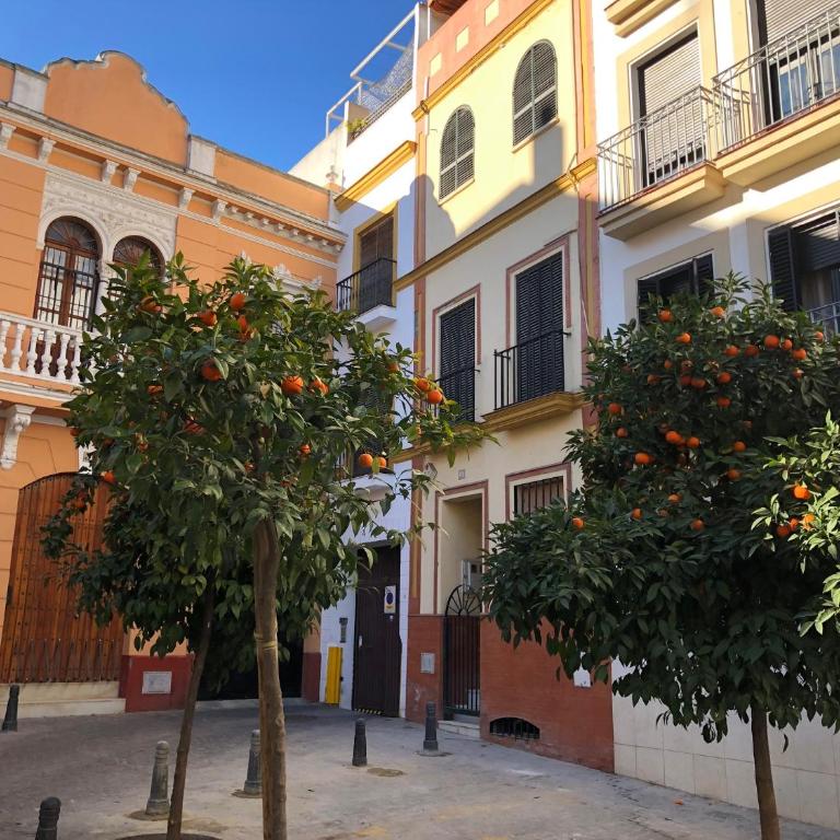 Unique House - Private SPA&Pool -StayInSeville - Villa con piscina privada - 18