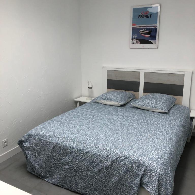 Les Locations du Bassin Appartements Alexandre - Appartement - Rez-de-Chaussée - 2