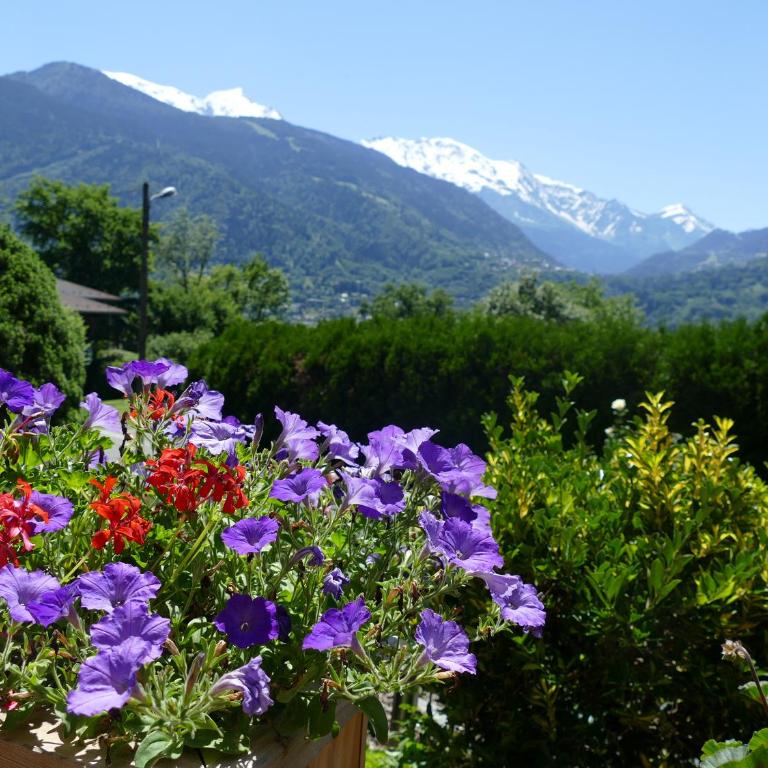 Chalet coup de coeur - Chambre Double - Vue sur Montagne - 8