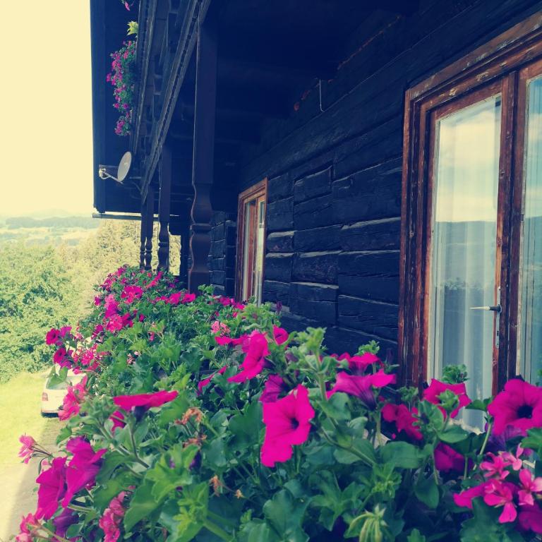 Baumgartnerhof Arriach - Urlaub am Bauernhof - Apartment mit Blick auf die Berge - 1