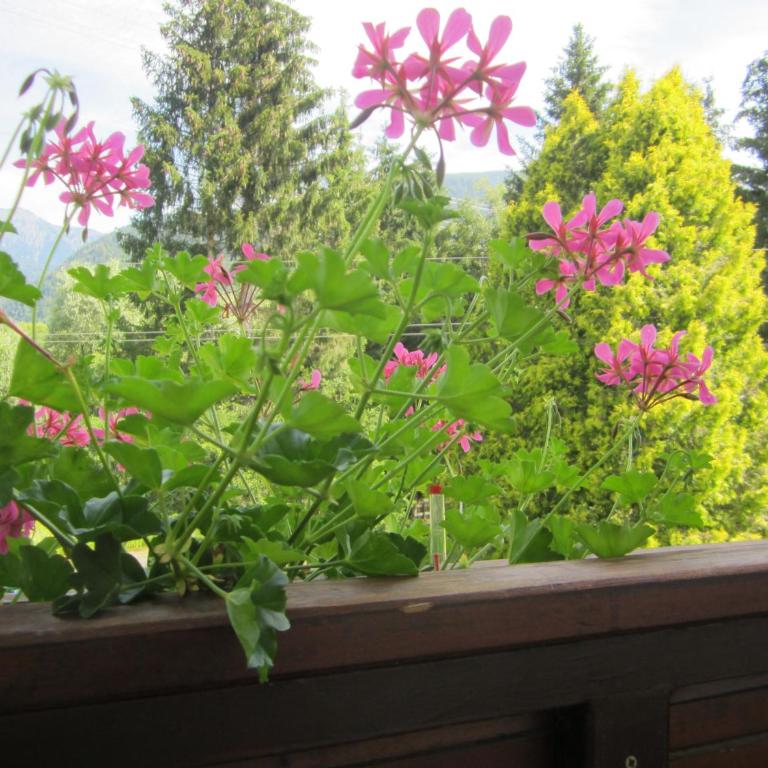 Apartmenthaus Kestel Gasthof - Apartment mit 2 Schlafzimmern - 2