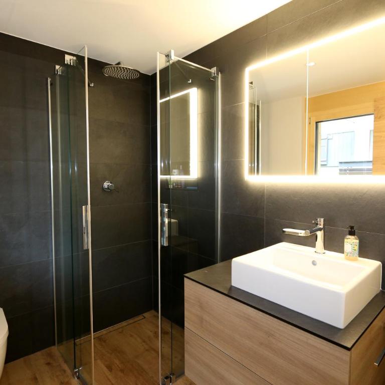 Derby ski-in/out - Deluxe Apartment - 12