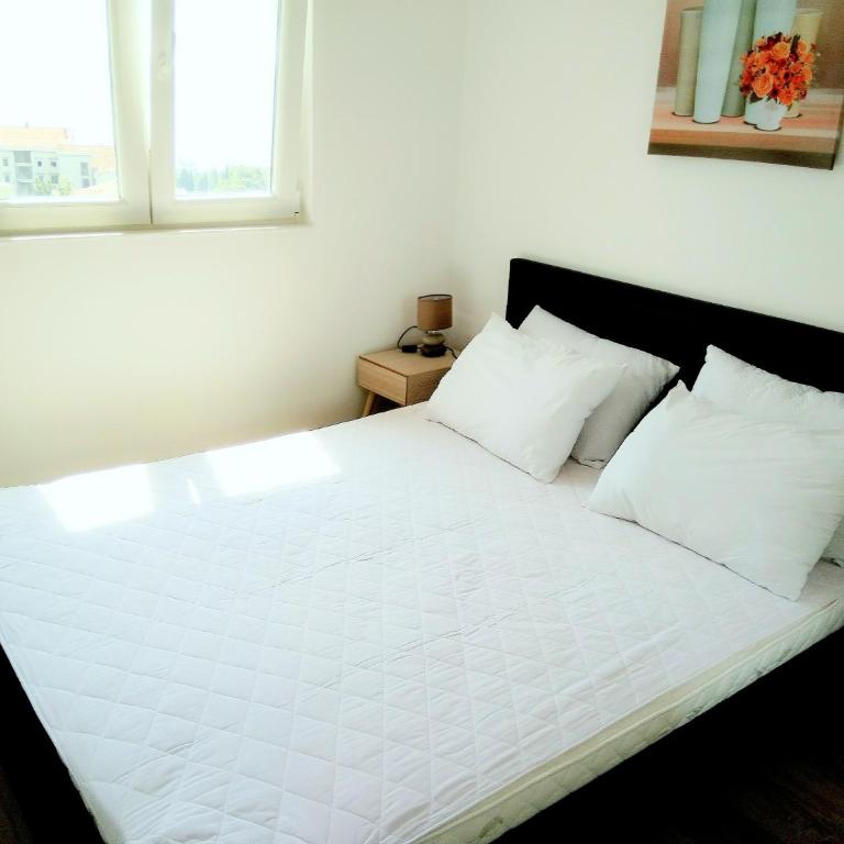 Vasic Apartments - Apartment with Sea View - 6