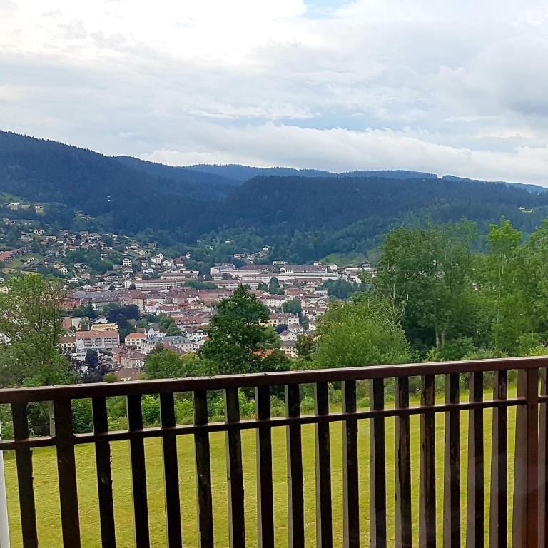 LES DRYADES Vue montagne - Studio Familial - 8