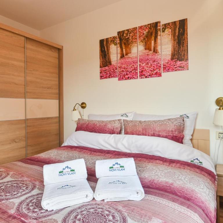 Novi Vlah - Apartman sa 1 Spavaćom Sobom - 9
