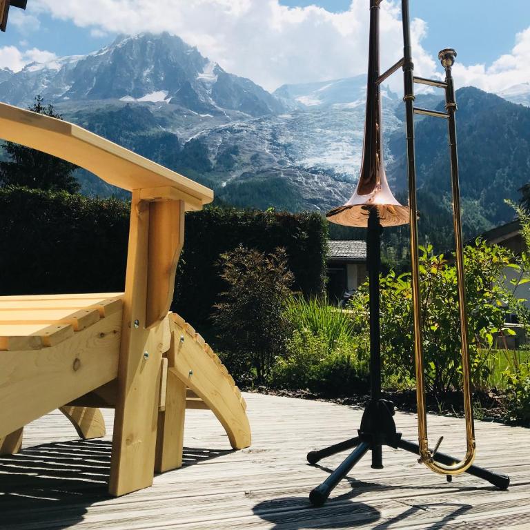 Grand chalet Le Trappeur - Chamonix - Chalet - 39
