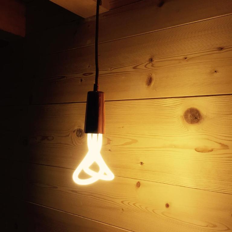 Grand chalet Le Trappeur - Chamonix - Chalet - 46