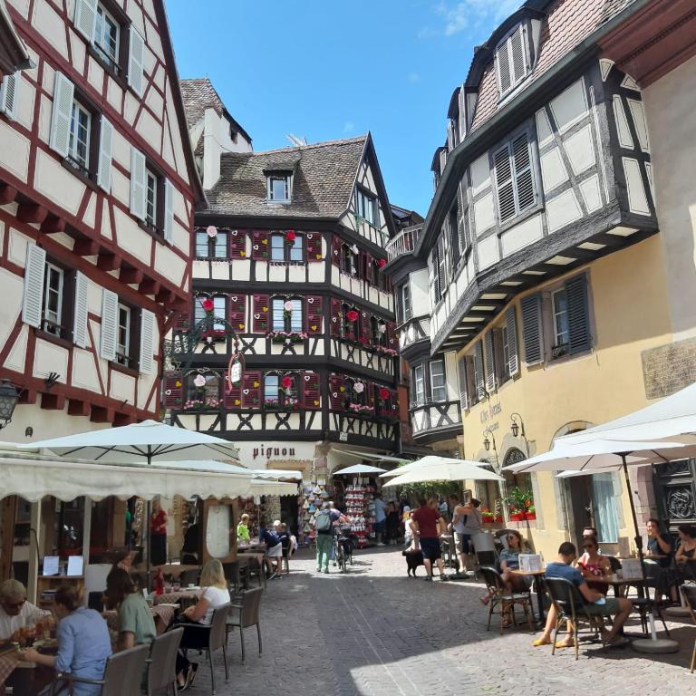 Commanderie Cottage Colmar - Appartement - Vue sur Jardin - 31