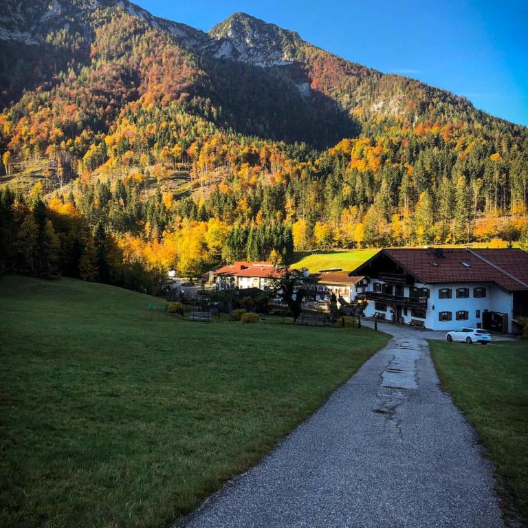 Kienberghof - Apartment mit 1 Schlafzimmer - 15
