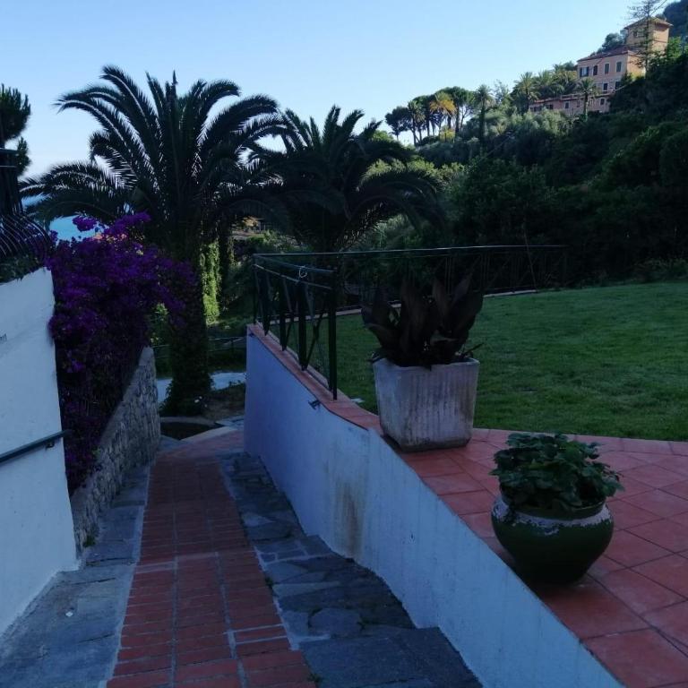 Agriturismo Un Mare di Fiori - Monolocale King - 5
