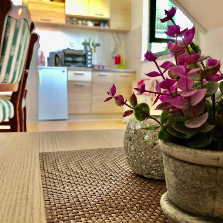 Apartman Zlatno Brdo - Two-Bedroom Apartment - 14