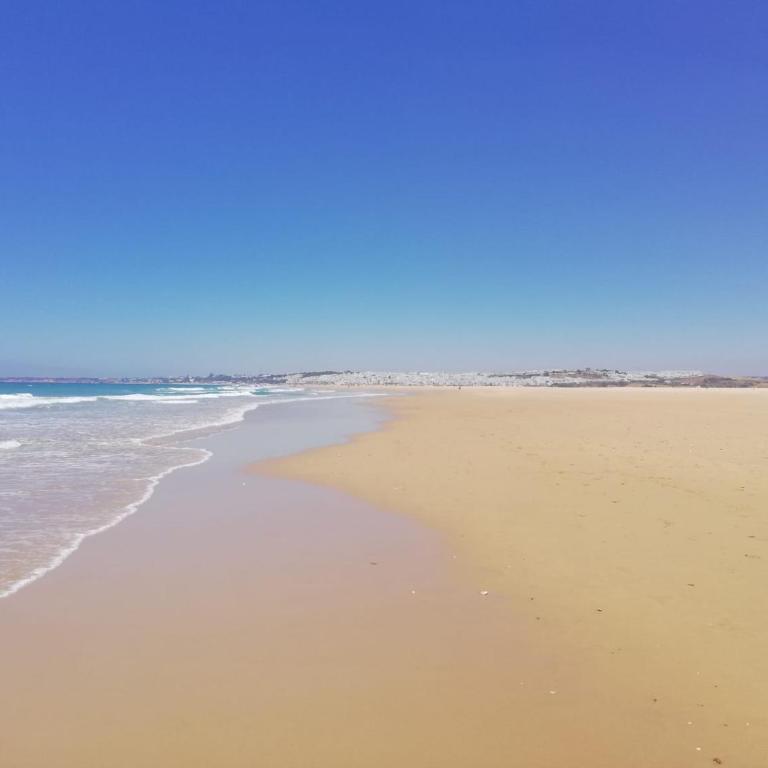 Apartamento Conil Playa & céntrico, con Aire Acond y WIFI -SOLO FAMILIAS Y PAREJAS- - Apartamento de 2 dormitorios con balcón - 55
