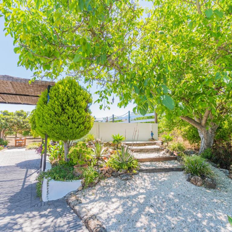 Cubo's Finca Pati - Two-Bedroom House - 13