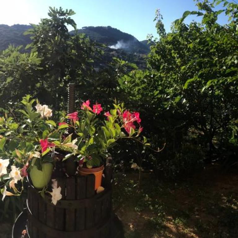 Appartamento Marina - Appartamento con 2 Camere da Letto - 22