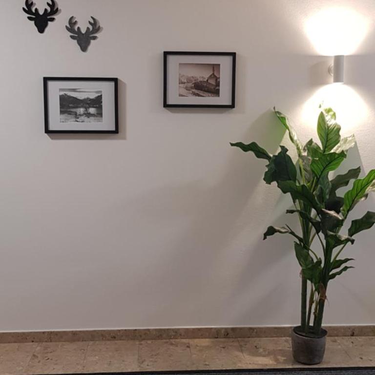 Apartment Edelweiss - Apartment - 21