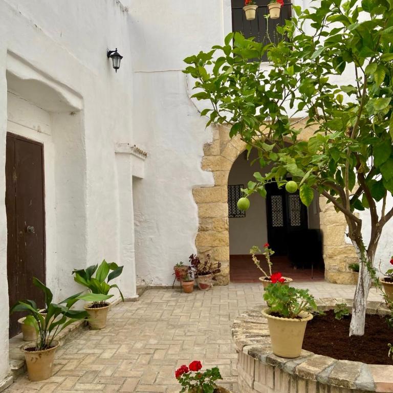 Apartamento San Juan - Apartamento de 1 dormitorio - 3