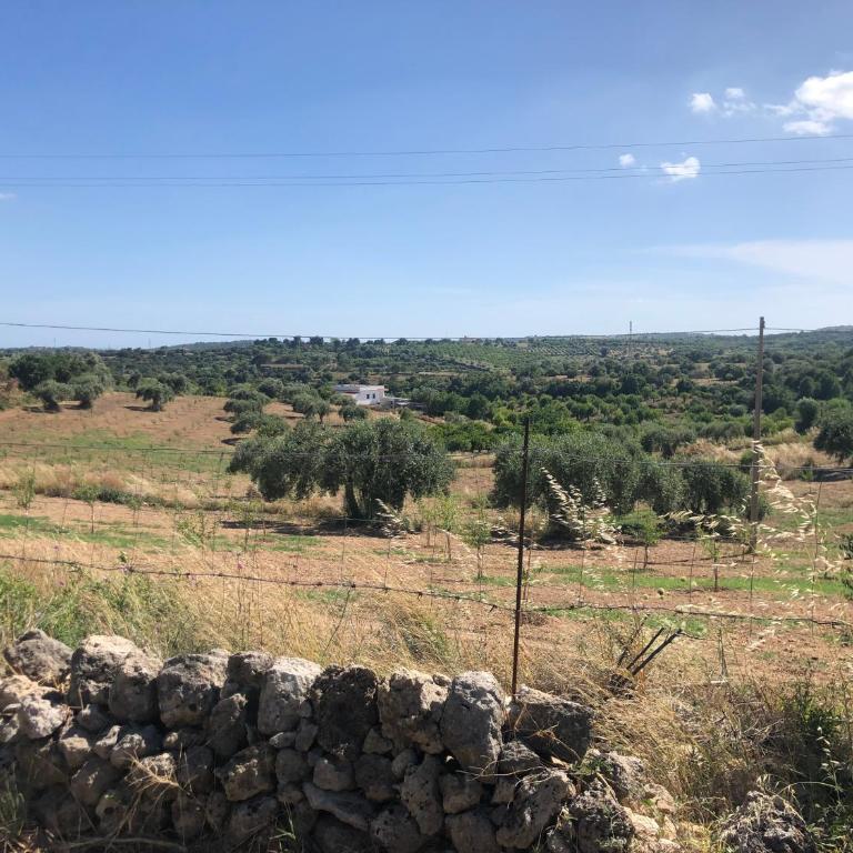 Il Lentisco - Casa Vacanze - 31