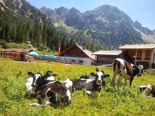 Apartment in Seefeld in Tirol - Apartment mit 1 Schlafzimmer und Balkon - 14