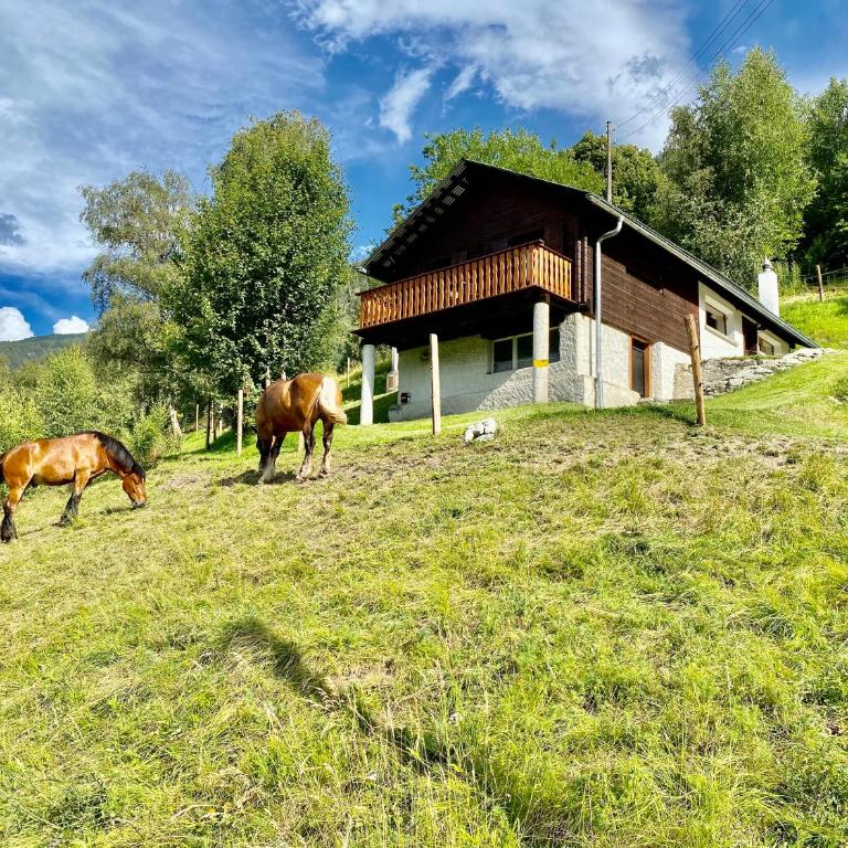Le mayen de Lucien et Thérèse - Jacuzzi, Valais - Chalet - 11