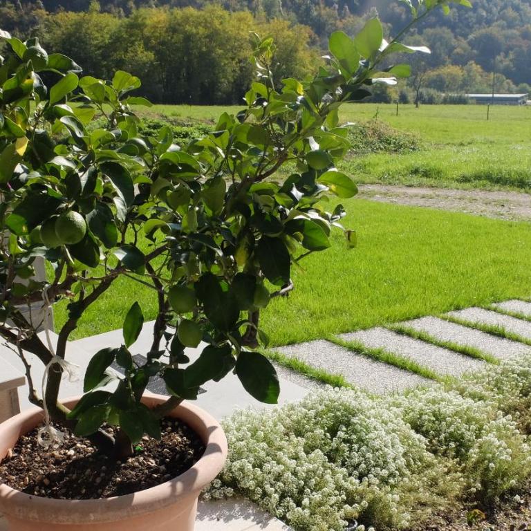 Casa di Elisa - Appartamento con 1 Camera da Letto - 18