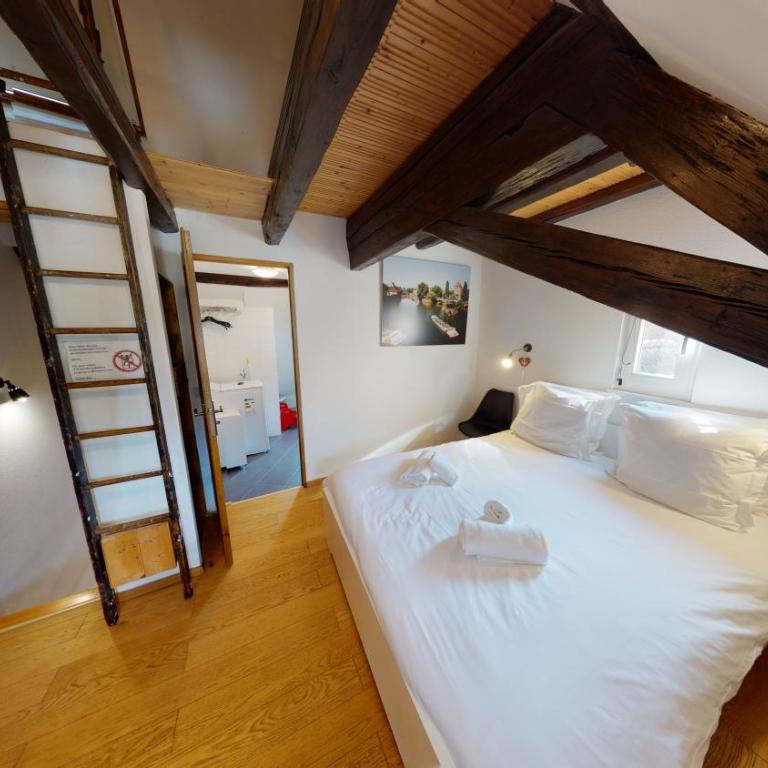 Spacious duplex city center Strasbourg - One-Bedroom Apartment - 8