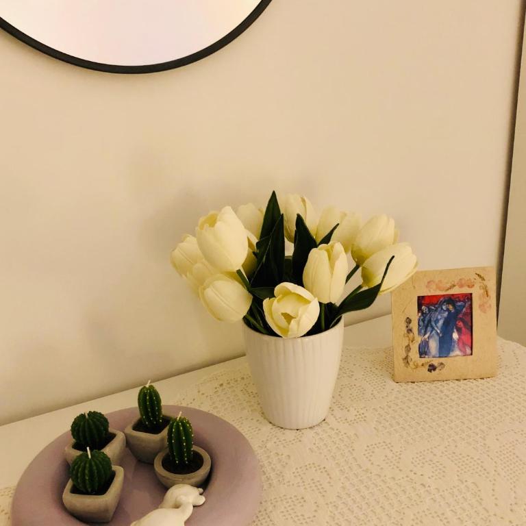 La casa di Nonna Clo, nel centro di Vasto - Casa con 1 Camera da Letto - 22