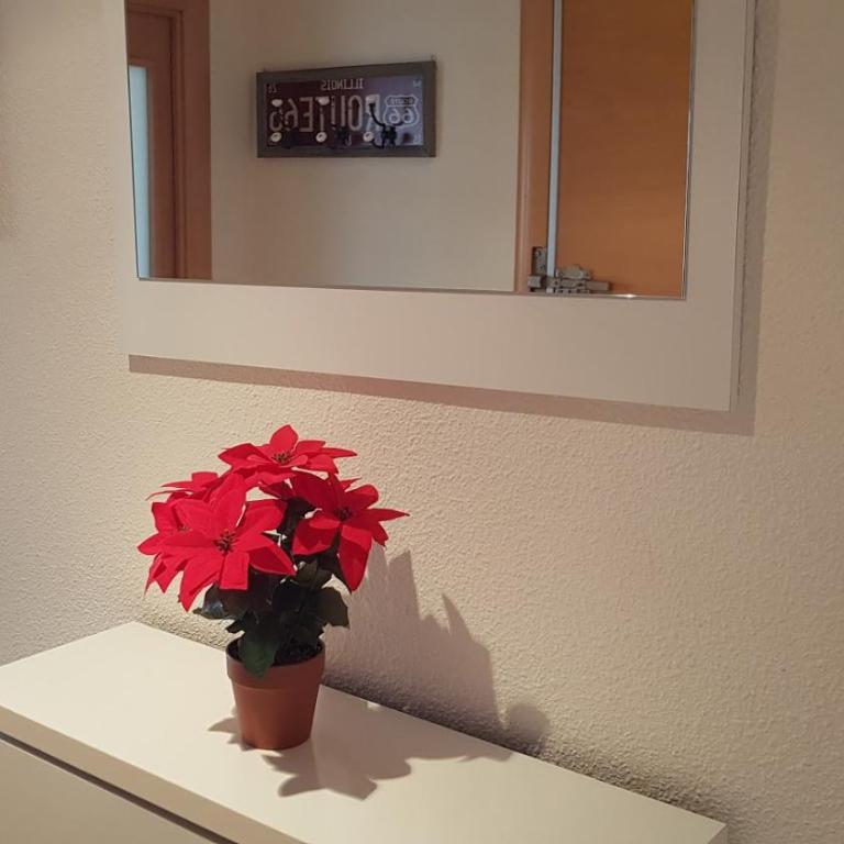 Apartamento con tres dormitorios Vista Mar - Apartamento de 3 dormitorios - 33