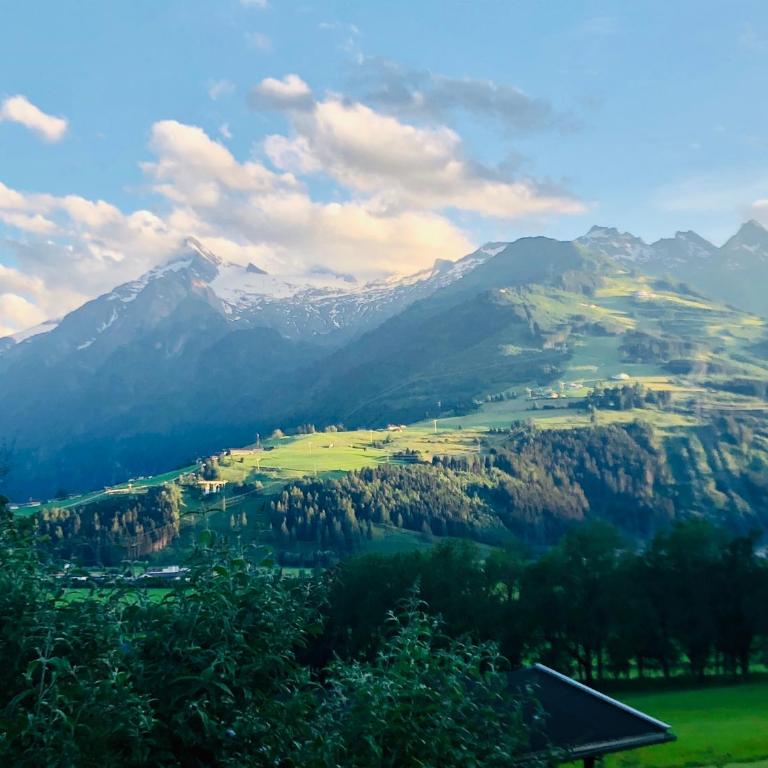 Haus Wenger Mountain View & Swimming Pool - Apartment mit 2 Schlafzimmern - 15