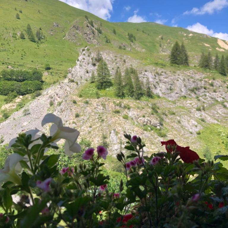 La Ferme des Étroits - Chambre Double - Vue sur Montagne - 4