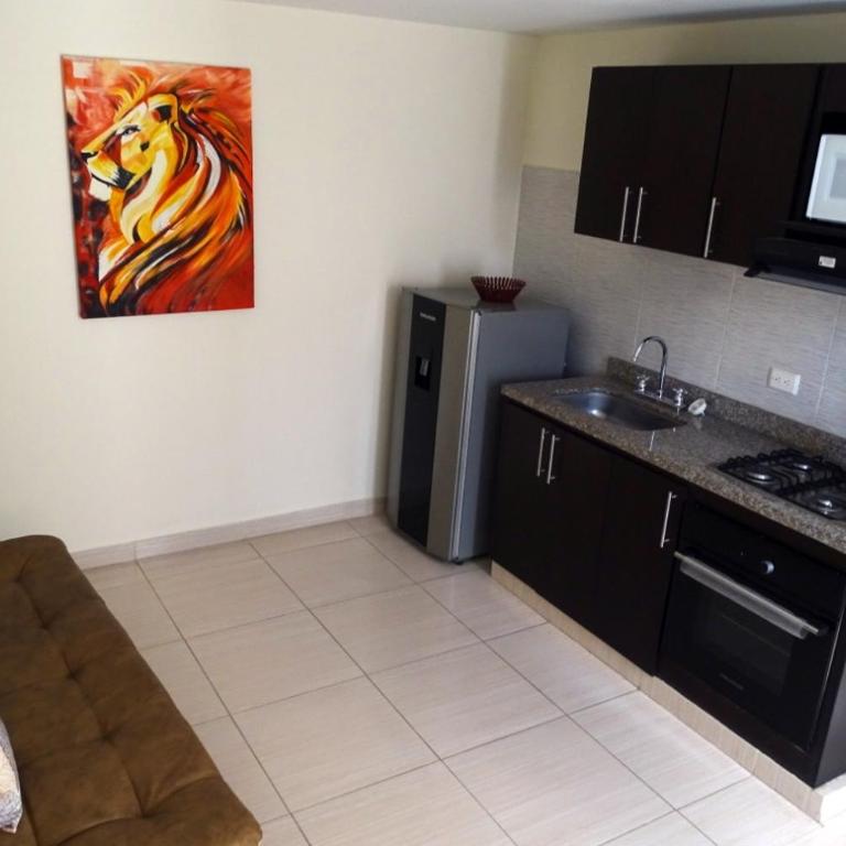 APARTAESTUDIOS AMOBLADOS ARBOLEDA DE CADIZ - Apartamento de 1 dormitorio - 17