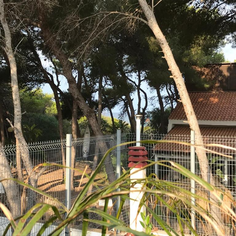 Suite paradise vista mare - Appartamento con 1 Camera da Letto - 12