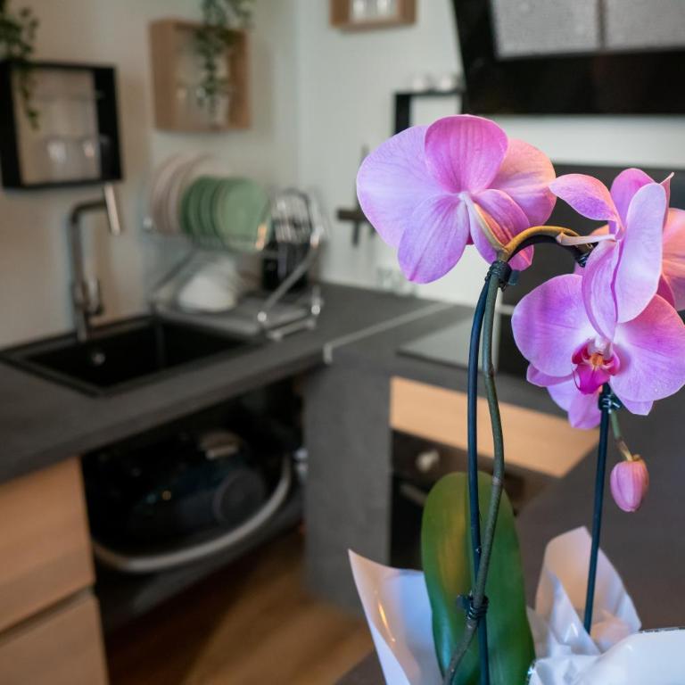 studio coeur de ville neuf et design tt equipé parking gratuit - Apartment mit 1 Schlafzimmer - 8