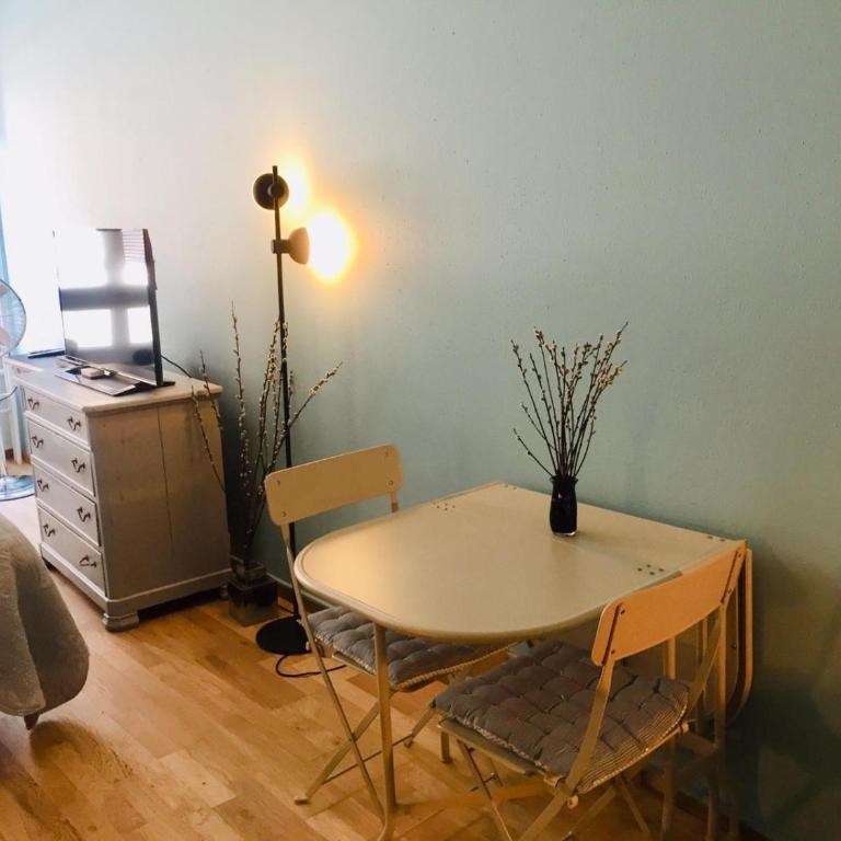 Rue Jean-Antoine Gautier - Studio - 27
