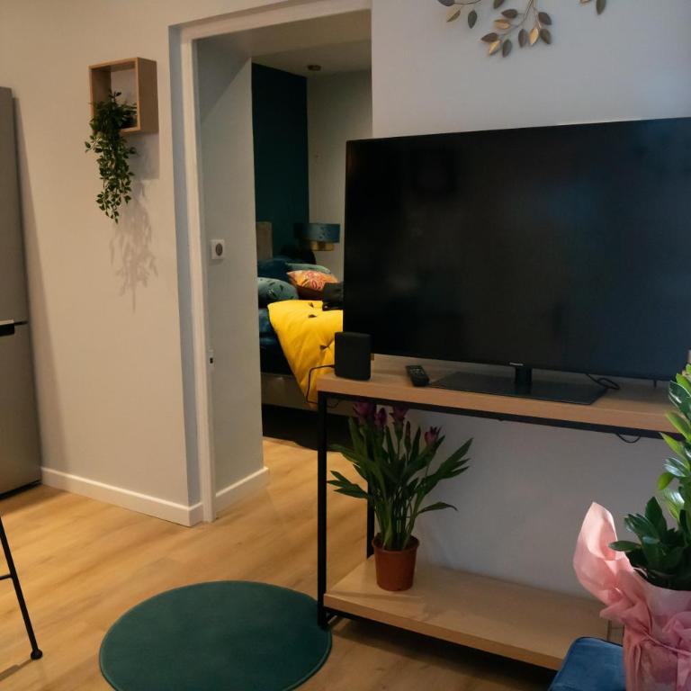 coeur de ville t2, terrasse, clim tt équipe, parking - Apartment mit 1 Schlafzimmer - 8