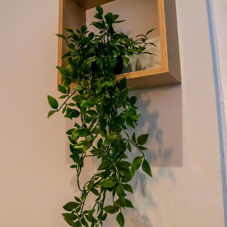 coeur de ville t2, terrasse, clim tt équipe, parking - Apartment mit 1 Schlafzimmer - 18