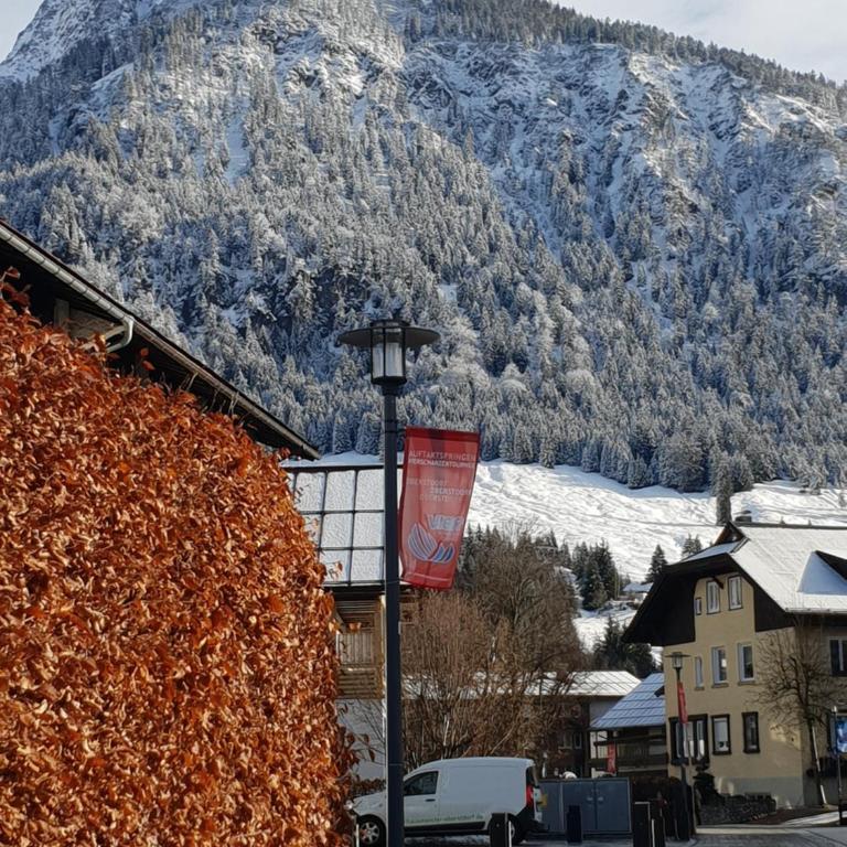 Haus Rotspitze - Apartment 1 mit Bergblick - 3