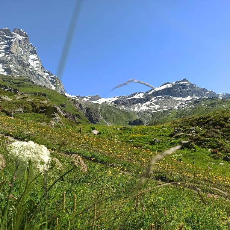 Achillea Alpina Cervinia apartment Vda Vacanze in Vetta CIR 0249 - Appartamento Monolocale - 22