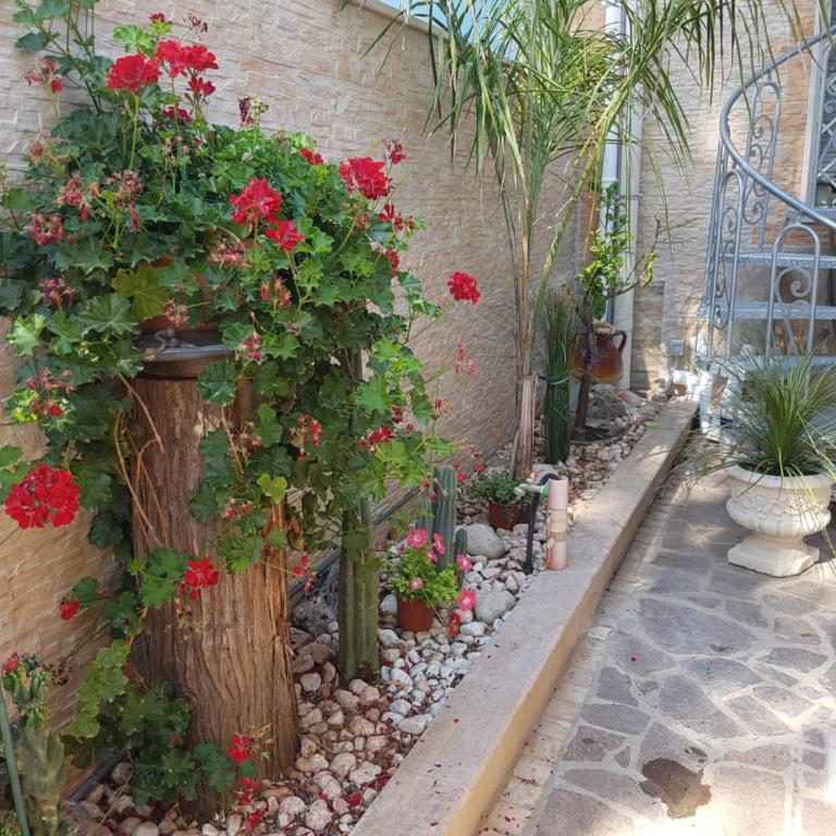 Suite paradise vista mare - Appartamento con 1 Camera da Letto - 16