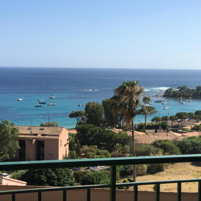 T2 route des sanguinaires vue mer panoramique - Appartement 1 Chambre - 7