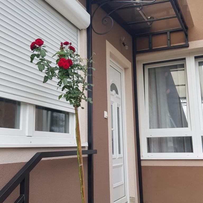 Apartmani V&F - Apartman sa 1 Spavaćom Sobom - 18