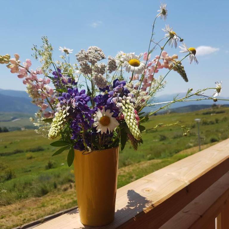 Chalet Rouge Sorbier - Chalet 2 Chambres - 7