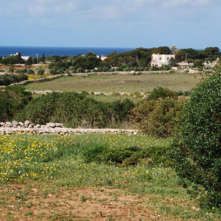 Villa Volare - Casa Vacanze - 6